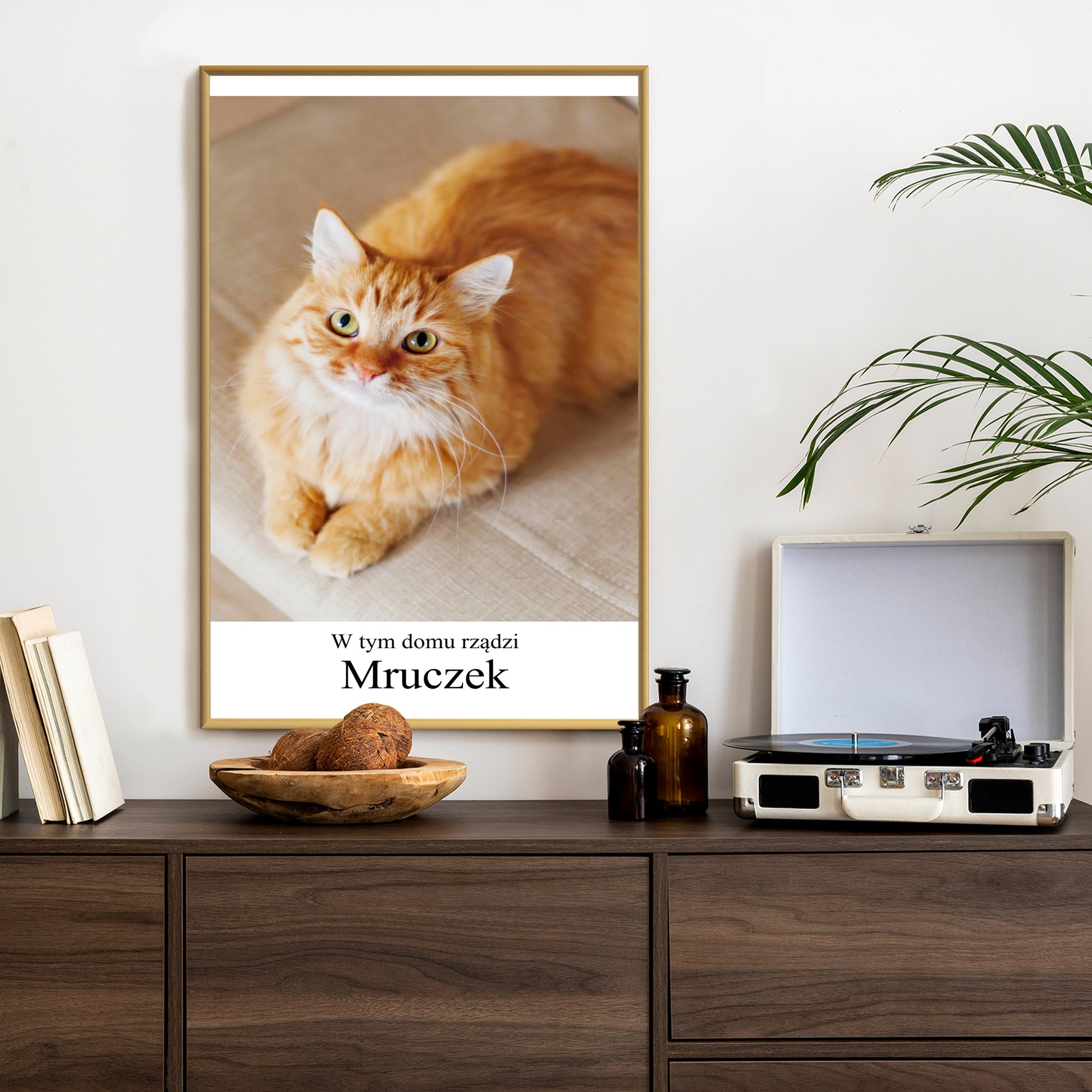 Plakat w ramie ze zdjęcia kota z białym marginesem i napisem
