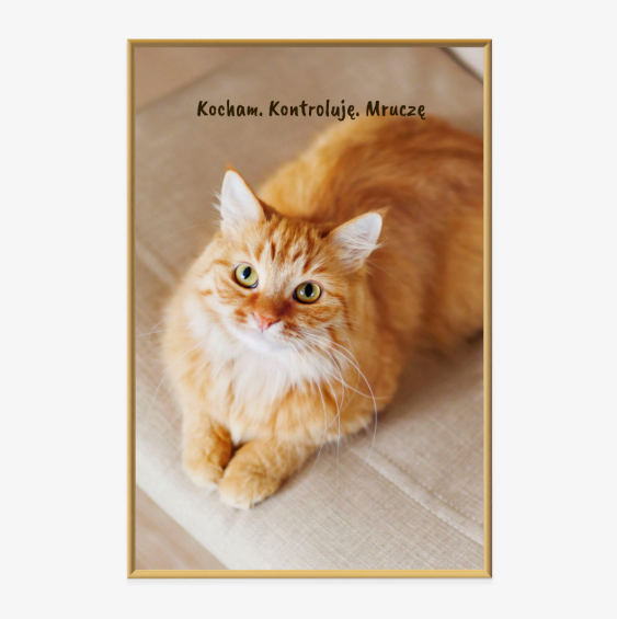 Plakat w ramie ze zdjęcia z napisem u góry